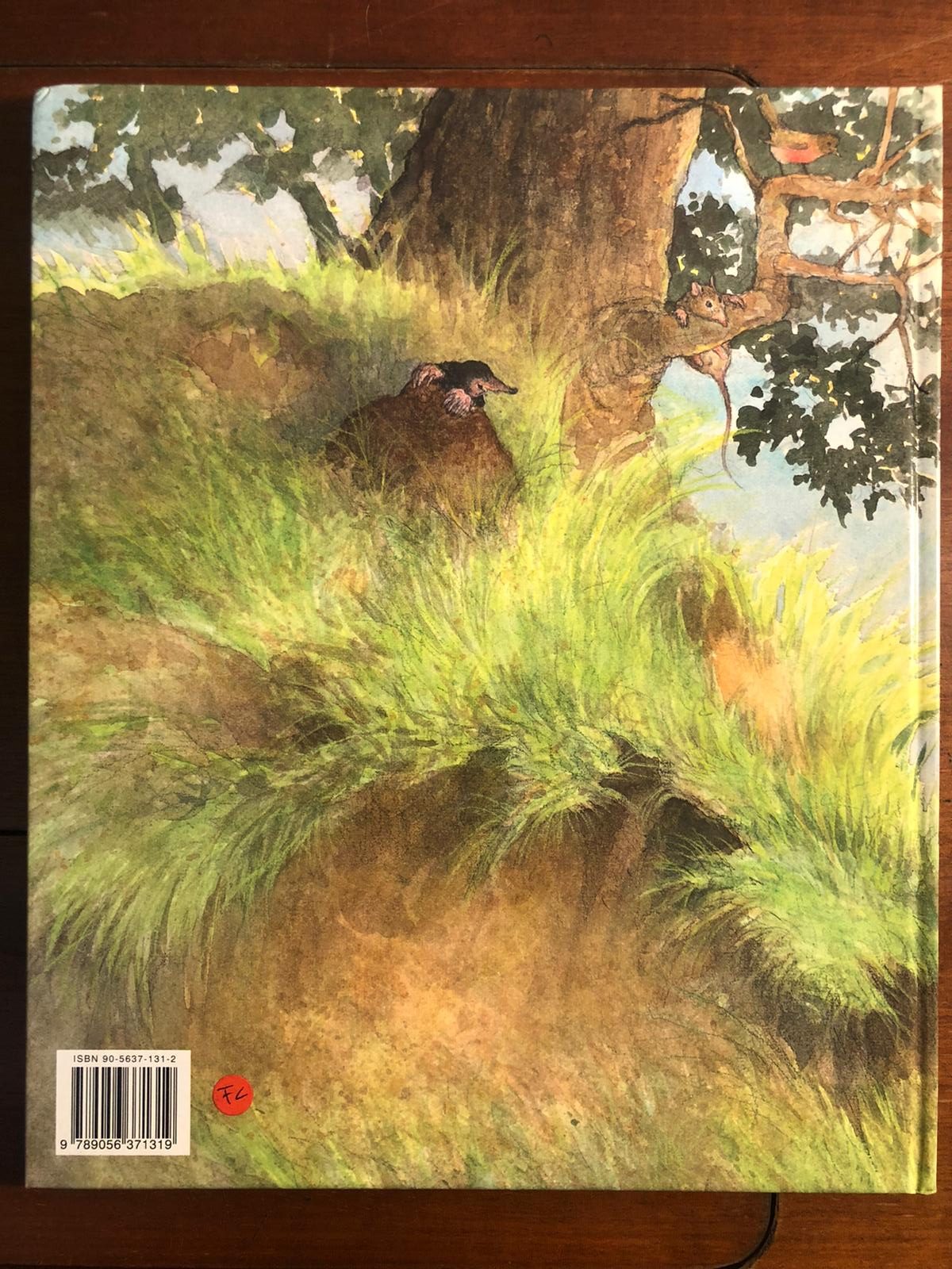 C'è un buco nel secchio - immagine 2