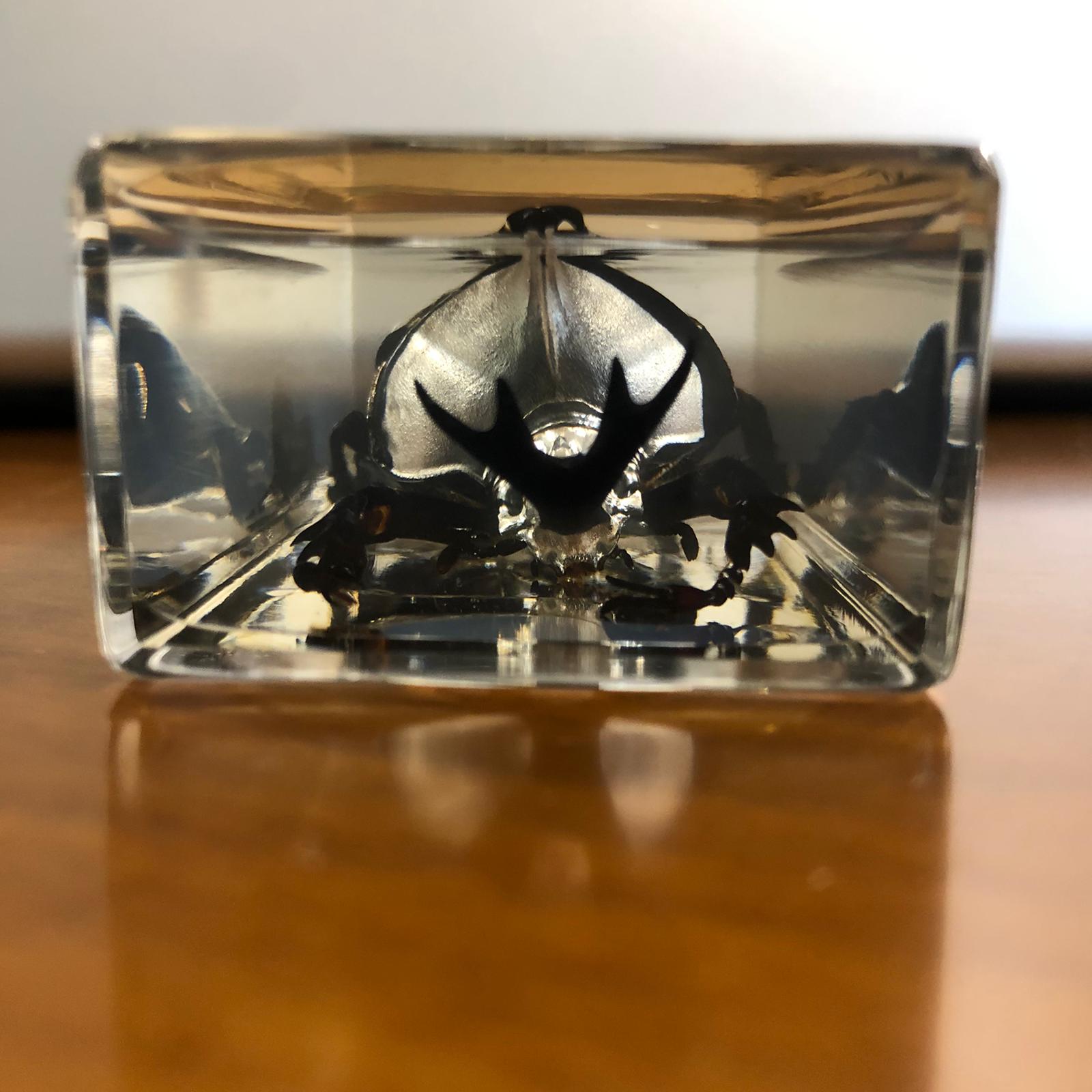 Insetti in plexiglass - immagine 8