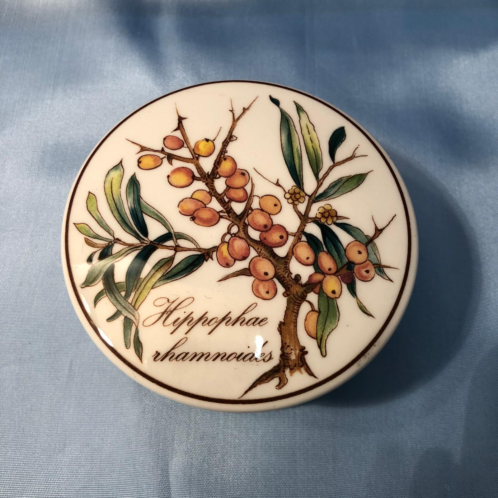 Cofanetto in porcellana Hippophae Rhamnoides - Villeroy & Boch