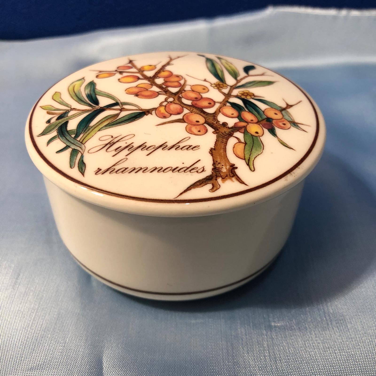 Cofanetto in porcellana Hippophae Rhamnoides - Villeroy & Boch - immagine 4