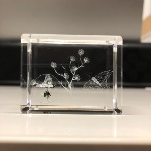 Fermacarte in plexiglass "Farfalle su rametto"